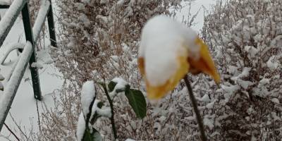 Сніг у Запоріжжі: нарешті чути дитячий сміх