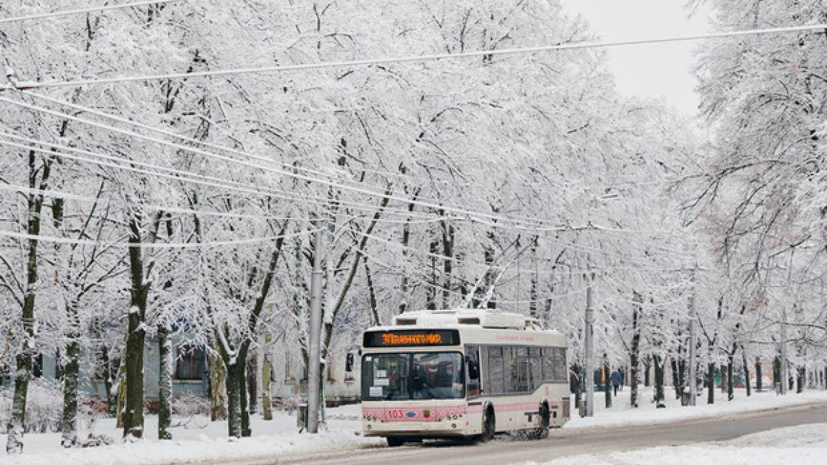 У Запоріжжі призупинено роботу тролейбусних маршрутів