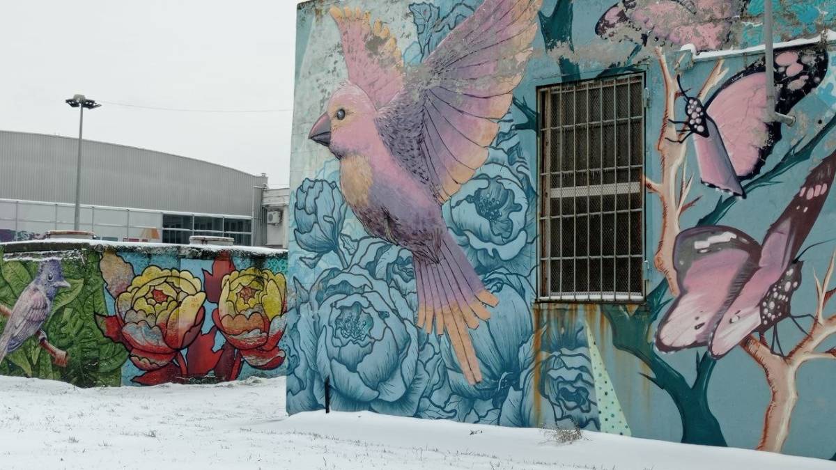 Чи бачили ви кицьок із почуттям гумору?