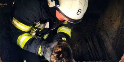 Запорізькі співробітники ДСНС врятували кота