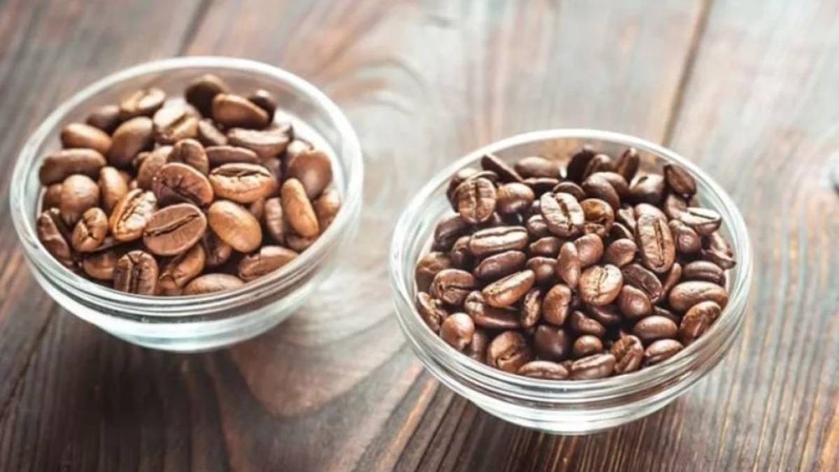 Арабіка чи робуста: який сорт кави смачніший та корисніший