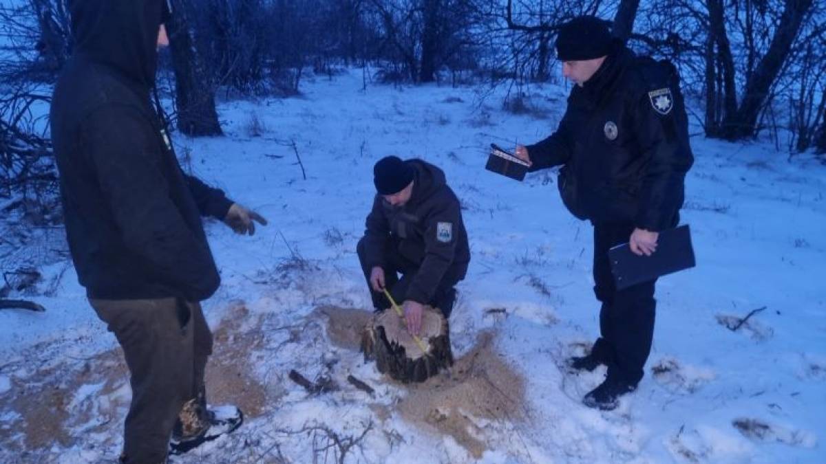 Поблизу Вільнянска затримано двох громадян за вирубкою зелених насаджен
