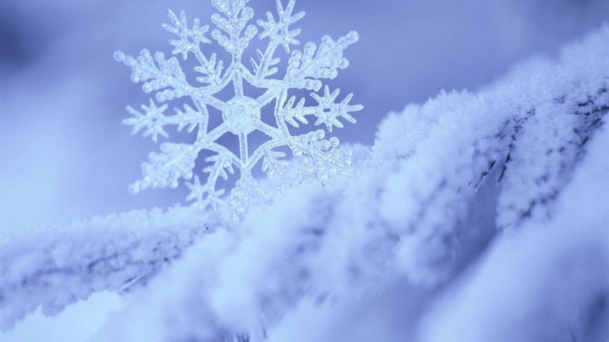 Опади та туман: мешканців Запорізької області попередили про небезпеку