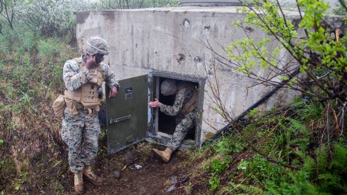 Естонія збудує 600 оборонних бункерів уздовж кордону з Росією