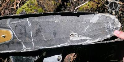 Запорізькі нацгвардійці збили два ворожих БпЛА типу «Shahed»