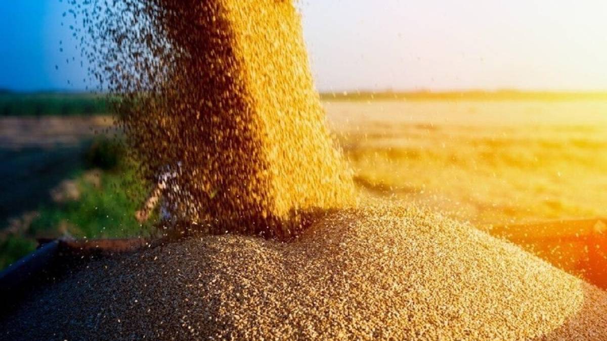 Румунія — найбільший імпортер української агропродукції: рейтинг