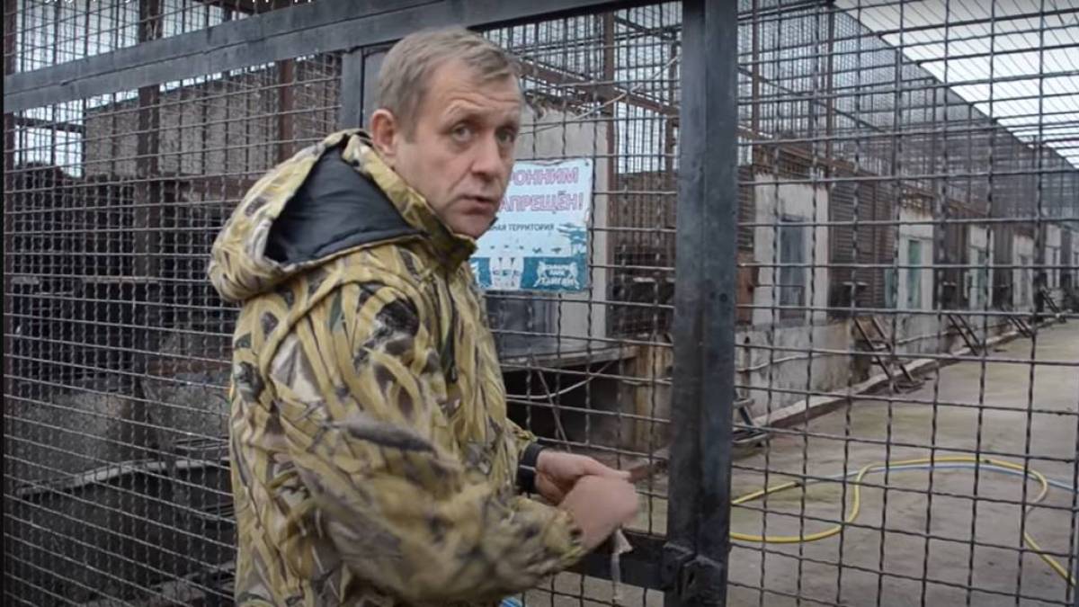 Кримські колаборанти викрали на Запоріжжі левицю та ще декілька тварин