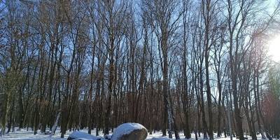 Народне свято 5 лютого: чому не можна лінуватися і що варто приготувати