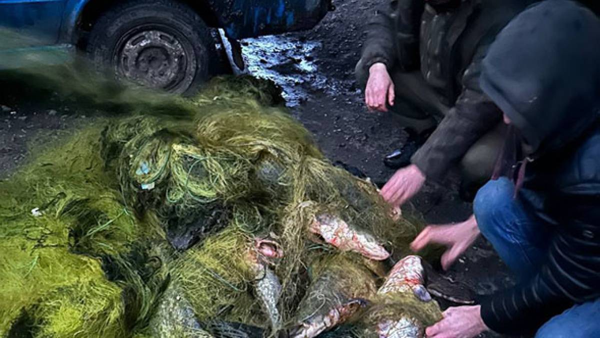 На Запоріжжі затримали боаконьєрів, які незаконно добули 450 кг риби