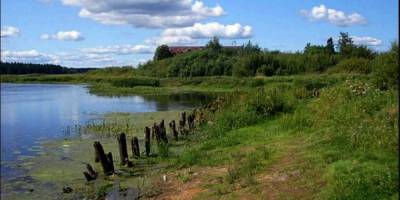 Лекція про Великий Луг, бібліоняня, майстер-класи… Заходи у запорізьких бібліотеках 9-10 лютого
