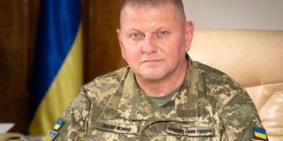 Зеленський присвоїв Залужному звання Героя України