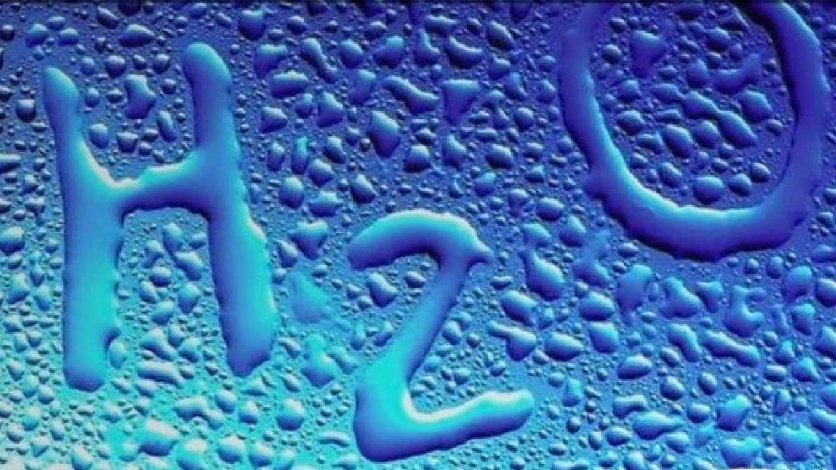 Музей Води запрошує запоріжців до чарівних таємниць усього живого