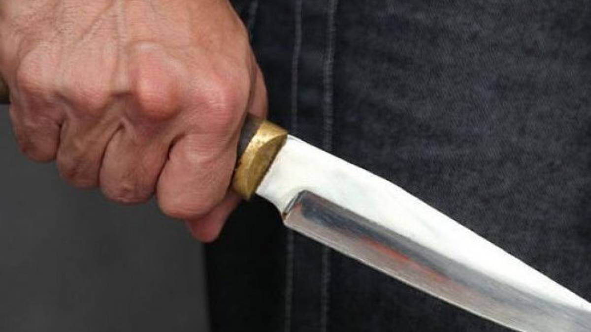 Вдарив ножем собаку: поліцейські повідомили про підозру мешканцю Запоріжжя