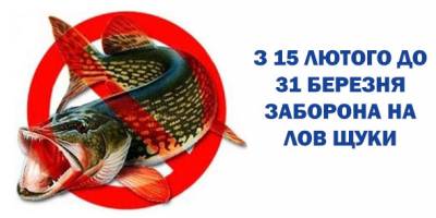 Запоріжців попередили: незабаром діятиме заборона на вилов щуки