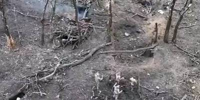 Запорізький напрямок, воїни 128 ОГШБр взяли в полон ще 11 рашизоїдів
