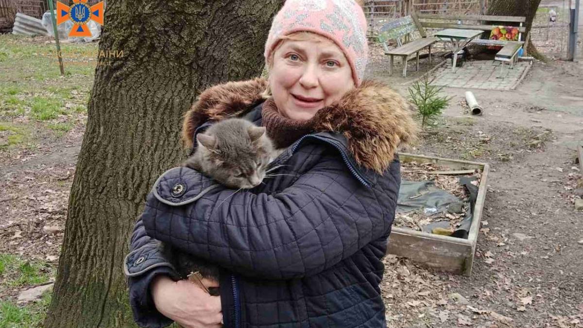 У Запоріжжі рятувальники зняли з дерева переляканного кота
