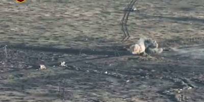 На Запорізькому напрямку Сили Оборони розгромили вчорашній наступ росіян