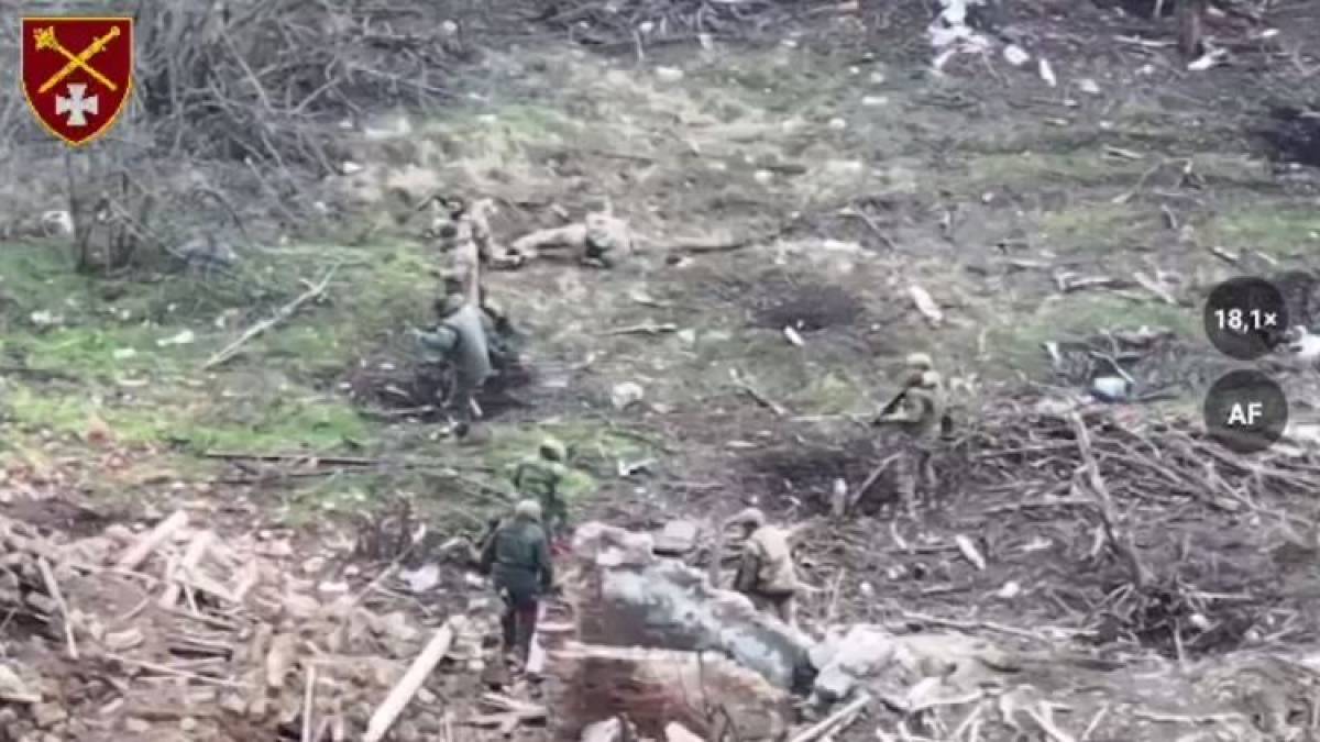 На Запорізькому напрямку взяли в полон чергову партію росіян – відео