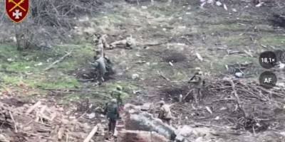 На Запорізькому напрямку взяли в полон чергову партію росіян – відео
