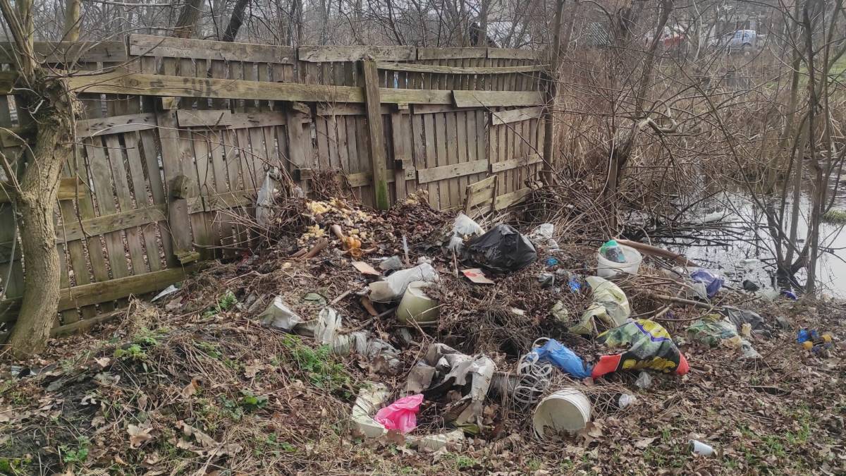 У Запоріжжі невідомі перетворили узбережжя річки на свинарник – фото