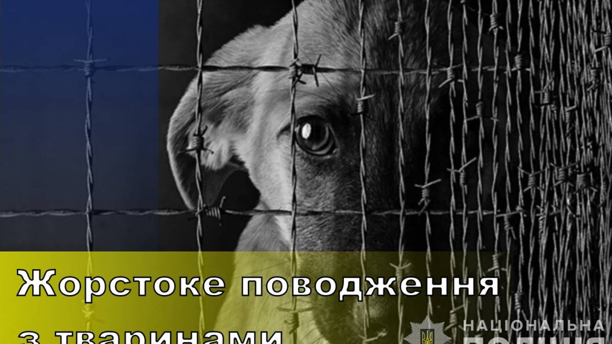 У Запоріжжі невідомий живодер повісив на дереві собаку