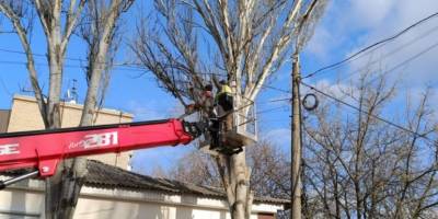 Запорізькі комунальники почали виконувати сезонну обрізку дерев