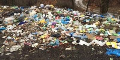 На Запоріжжі виявили ще одне незаконне сміттєзвалище