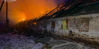 росіяни вдарили по фермі на Харківщині, загинуло понад 20 тварин