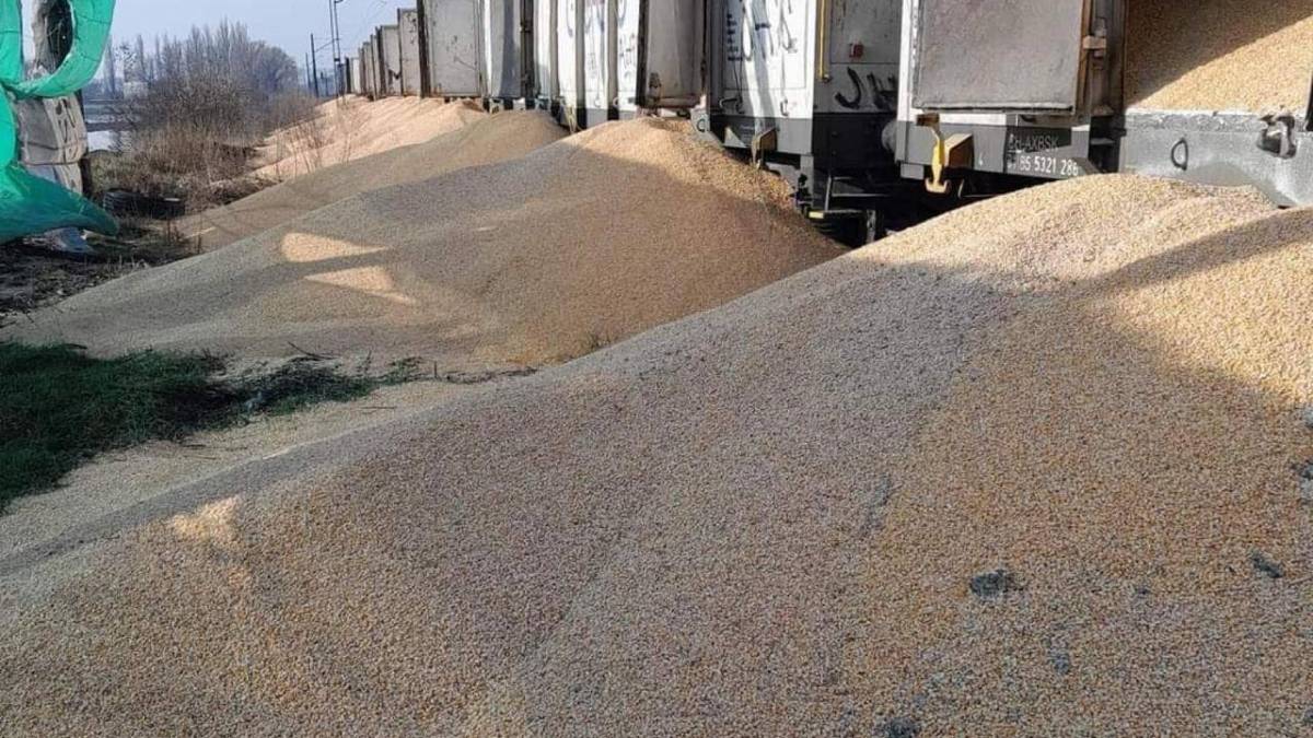 У Польщі з вагонів висипали 160 тонн українського зерна