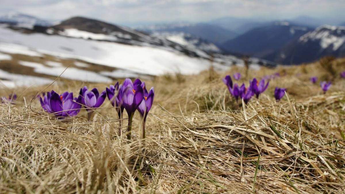 Народне свято 27 лютого: традиції, поради, що потрібно зробити жінкам
