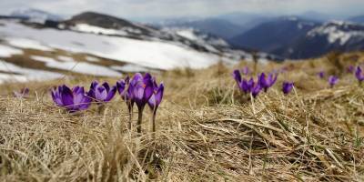 Народне свято 27 лютого: традиції, поради, що потрібно зробити жінкам