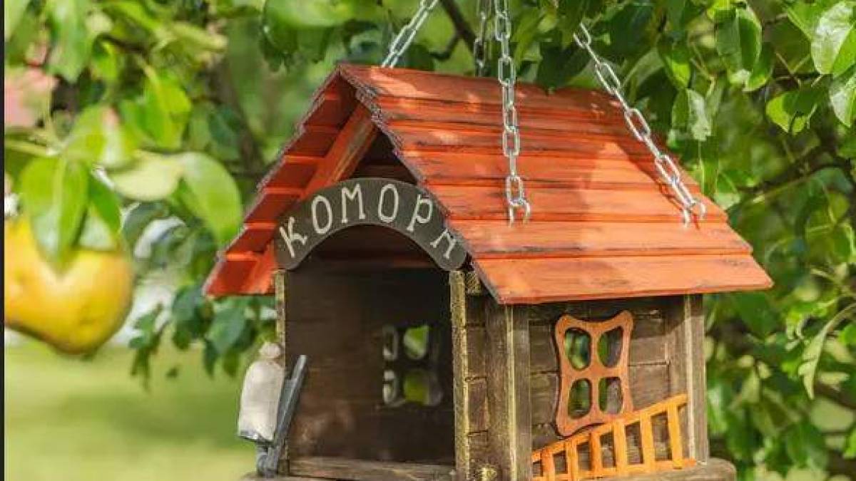 Зроби шпаківню – прогуляйся Запорізьким ботанічним садом