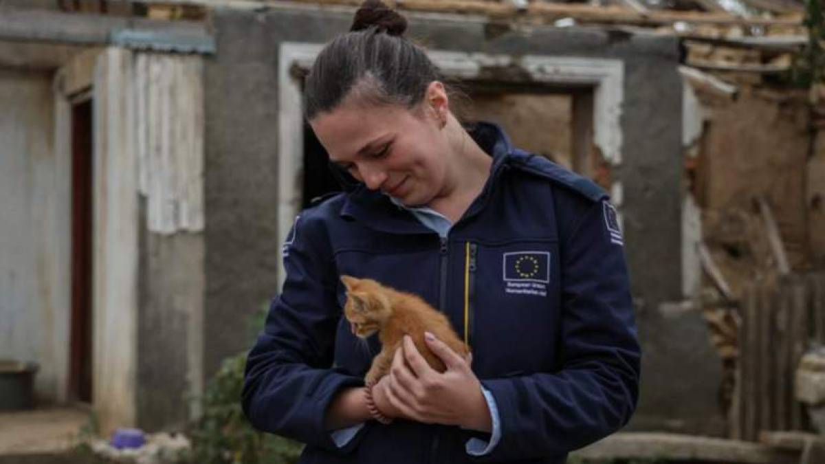 ЄС і Світовий банк створили новий механізм для запобігання стихійним лихам у Європі