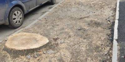 На головному проспекті Запоріжжя висадять нові молоді дерева.