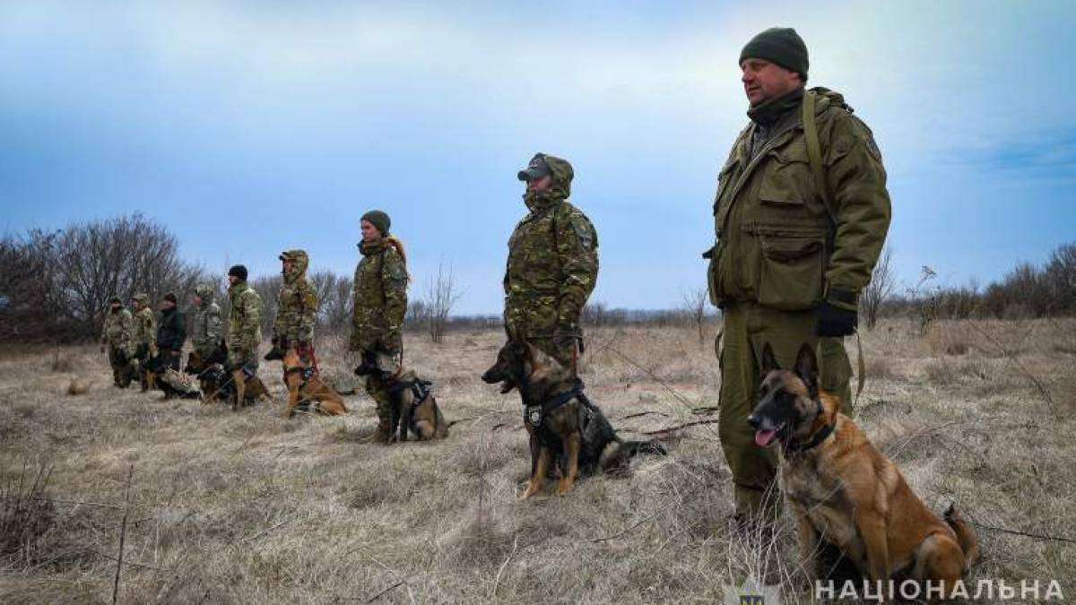 У Запоріжжі відбулися тренування поліцейських кінологів – фото