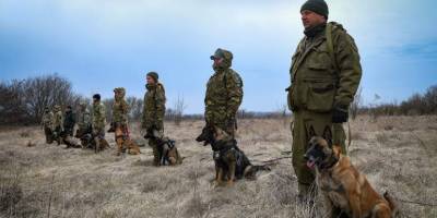 У Запоріжжі відбулися тренування поліцейських кінологів – фото