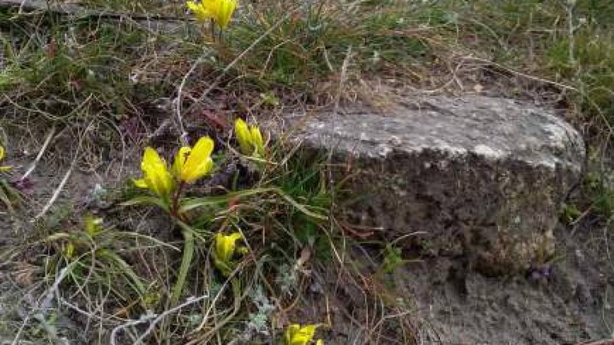 Якою буде погода на вихідні у Запоріжжі та області: прогноз синоптиків
