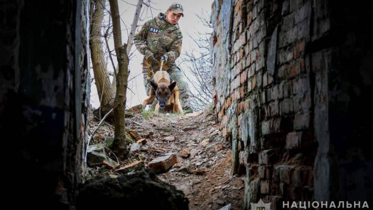 Мати полоненого з Бердянська на сесії Ради ООН розповіла про злочини рашистів