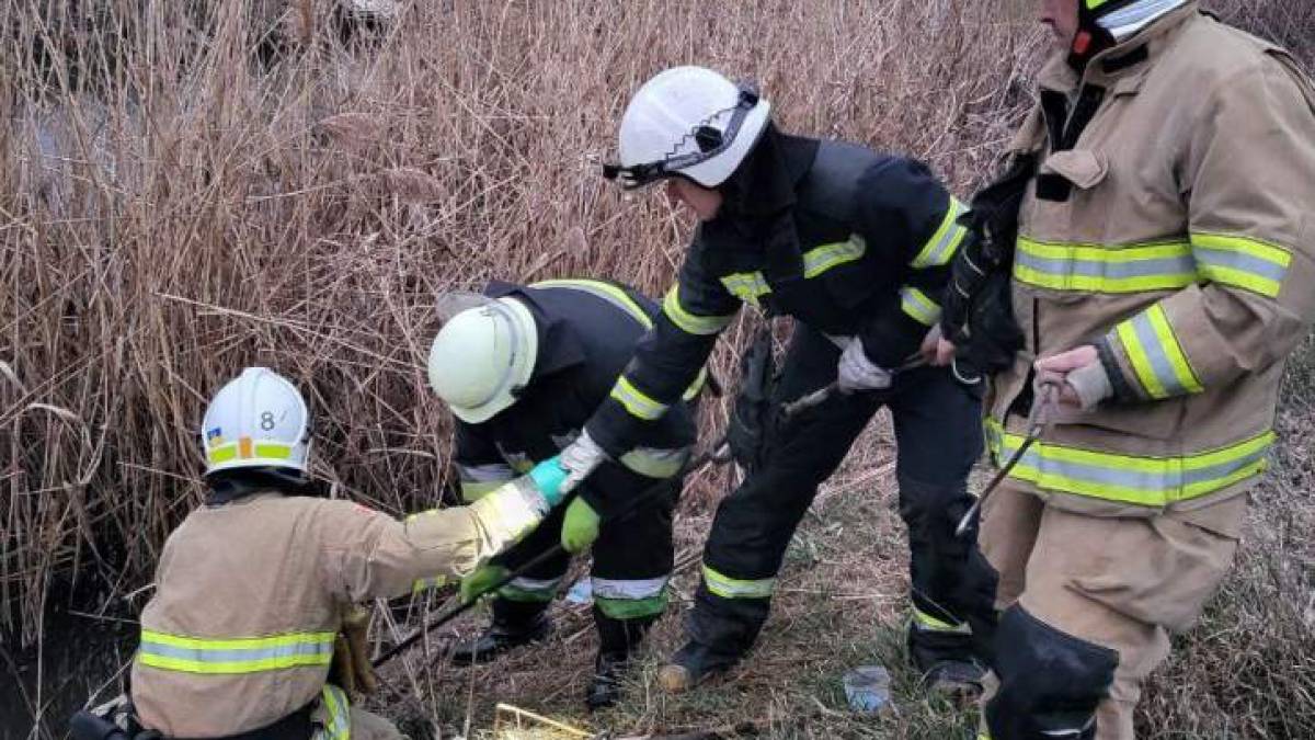У Запоріжжі перехожі знайшли потопельника