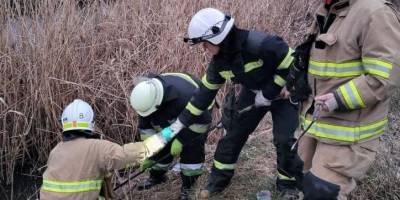 У Запоріжжі перехожі знайшли потопельника
