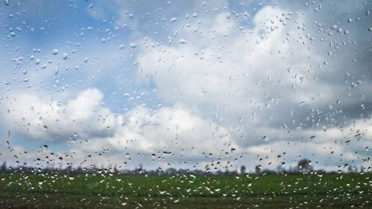 Якою буде погода в Запоріжжі в перші дні тижня