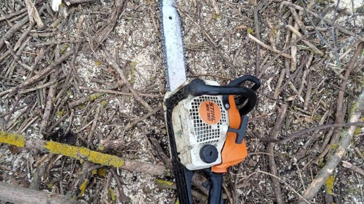 У Запорізькому районі затримано громадянина за незаконною вирубкою дерев