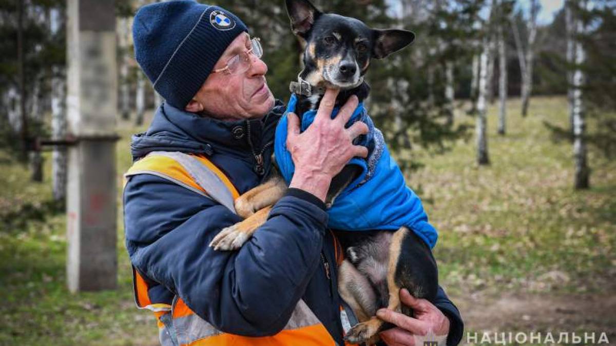 Запорізькі поліцейські розшукали та повернули додому Круза – фото, відео