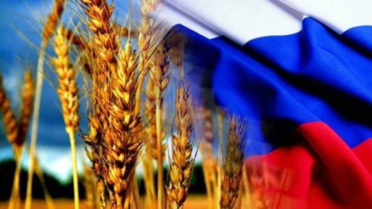 Євросоюз запровадить мита на імпорт зерна з Росії та Білорусі – Financial Times