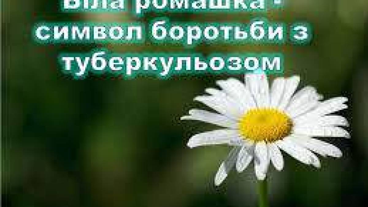 24 березня – Всеукраїнський день боротьби із туберкульозом