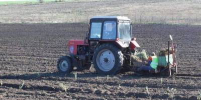 Цьогоріч на Запоріжжі прланують висадити лісових культур на площі понад 16 га