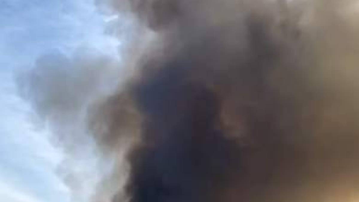 У Запоріжжі в балці сталася масштабна пожежа