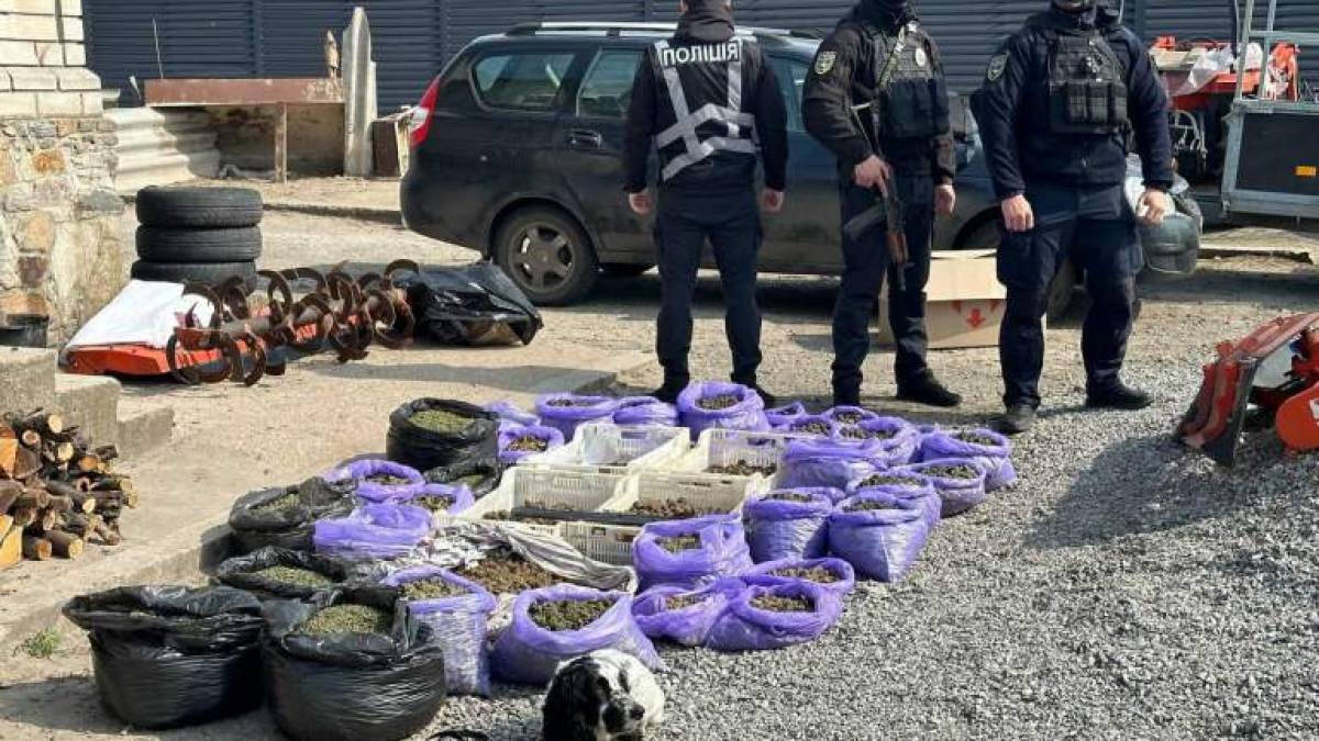 На Запоріжжі поліцейські вилучили у сільського жителя 45 кг наркотиків – фото, відео