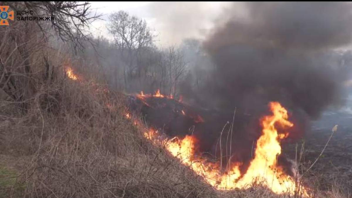 Рятувальники показали, як ліквідували у Запоріжжі масштабну пожежу – відео