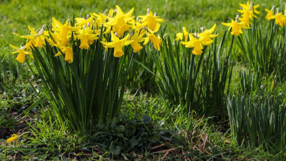1 квітня погода потішить українців розкішним теплом